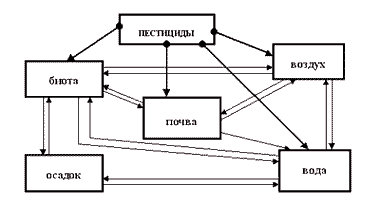 fkk2.gif (7861 bytes)