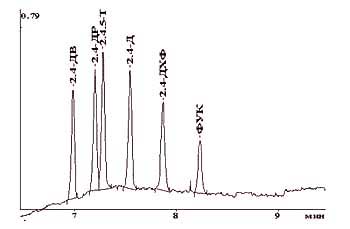 fkk3.jpg (6269 bytes)